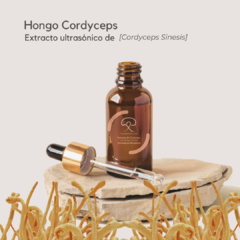 Extracto Ultrasónico de Hongo Cordyceps