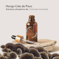 Extracto Ultrasónico de Hongo Cola de Pavo