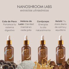 Kit Premium de Extractos Ultrasónicos de Hongos - Reishi, Cola de Pavo, Cordyceps, y Melena de León