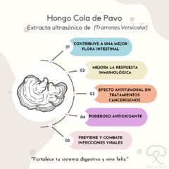 Extracto Ultrasónico de Hongo Cola de Pavo - comprar en línea