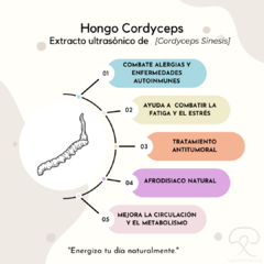 Extracto Ultrasónico de Hongo Cordyceps - comprar en línea