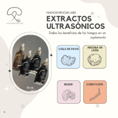 Kit Premium de Extractos Ultrasónicos de Hongos - Reishi, Cola de Pavo, Cordyceps, y Melena de León - comprar en línea