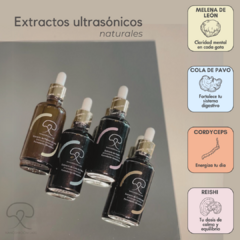 Kit Premium de Extractos Ultrasónicos de Hongos - Reishi, Cola de Pavo, Cordyceps, y Melena de León en internet