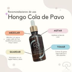 Extracto Ultrasónico de Hongo Cola de Pavo - tienda en línea