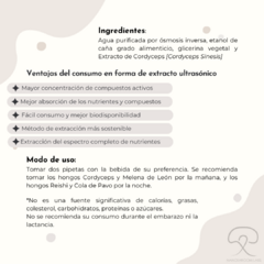 Extracto Ultrasónico de Hongo Cordyceps - NanoShroom Labs