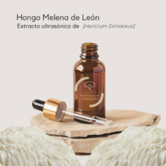 Extracto Ultrasónico Hongo de Melena de León