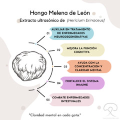 Extracto Ultrasónico Hongo de Melena de León - comprar en línea