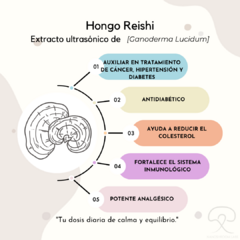 Extracto Ultrasónico de Hongo Reishi - comprar en línea