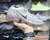 nike vapor max 3.0