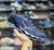 mizuno pro 13