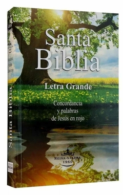 Biblia Reina Valera 1960 Letra Grande Palabras de Jesús en Rojo