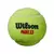 Tubo Pelotas Wilson Padel x3 Ball Can - comprar online