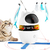 Brinquedo Interativo para Gatos com Sensor - Zazoo Pet Shop