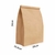 Saco de Papel Kraft M3 (Liso) 20cm x 34cm x 10,5cm com 100 - comprar online