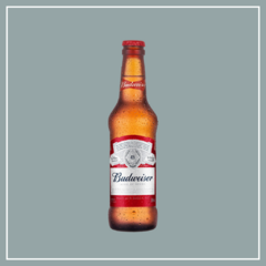 Cerveja Budweiser LN 330ml