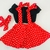 Conjunto Minnie