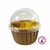 Domo Horneable Cupcakes Marron Pack 10 UNIDADES - comprar online