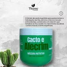 Máscara Cacto e Alecrim 500gr - comprar online