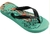 CHINELO HAVA TOP FUN TUBARAO - comprar online