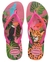 CHINELO HAVA SUMMER BLISS ONCA