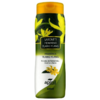 Sabonete Feminino Ylang Ylang Apinil