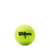 Bola Wilson Tenis Championship Tubo C/3 Bolinhas - comprar online