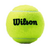 Kit Pack 24 Tubos Bola Tenis Wilson Championship - comprar online