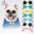 Óculos Caninos: Estilo e Proteção para o Seu Melhor Amigo - comprar online