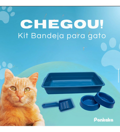 Kit Bandeja de Areia + Pázinha Higiênica + 2 Potes - loja online