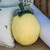 Almofada Decorativa formato Limão em Tricot na internet