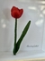 Tulipa - comprar online