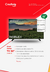 Smart TV 32" Android Noblex - comprar online