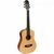 Violão Giannini GTG-36S Travel Aço Eq Natural Satin