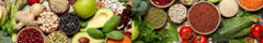 Banner da categoria Proteína Vegetal