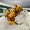 BRINQ. PELUCIA CHAV. CACHORRO F6600046 Cor:Caramelo