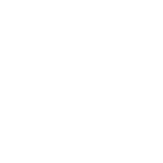 Bullster