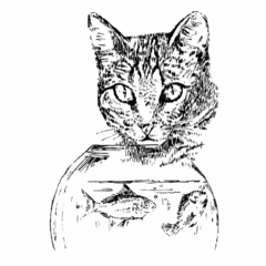 Desenho - Gato - Tentação