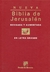 BIBLIA DE JERUSALEN EN LETRA GRANDE