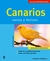 CANARIOS . SANOS Y FELICES