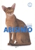 EL GATO ABISINIO - comprar online