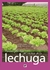 MANUAL PRACTICO DEL CULTIVO DE LA LECHUGA