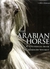 ARABIAN HORSE THE