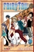 FAIRY TAIL 22