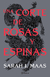 UNA CORTE DE ROSAS Y ESPINAS (NE)