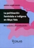 POLITIZACION FEMINISTA E INDIGENA EN ABYA YALA