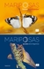 MARIPOSAS SOLARES Y LUNARES DE LA ARGENTINA