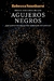 BREVE HISTORIA DE LOS AGUJEROS NEGROS