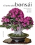 EL ARTE DEL BONSAI - comprar online