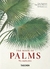 EL LIBRO DE LAS PALMERAS - comprar online