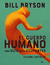 EL CUERPO HUMANO